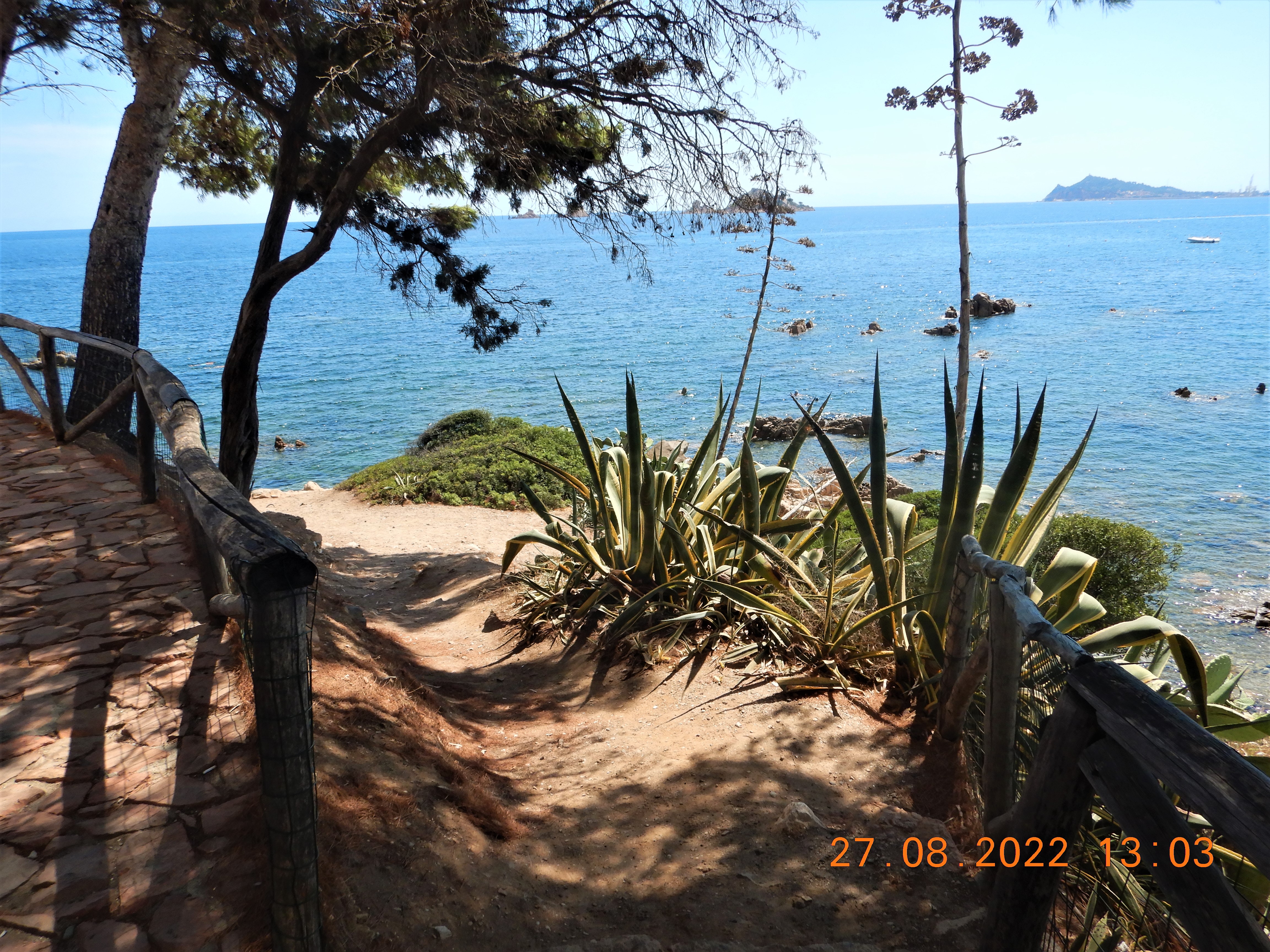 tancau8