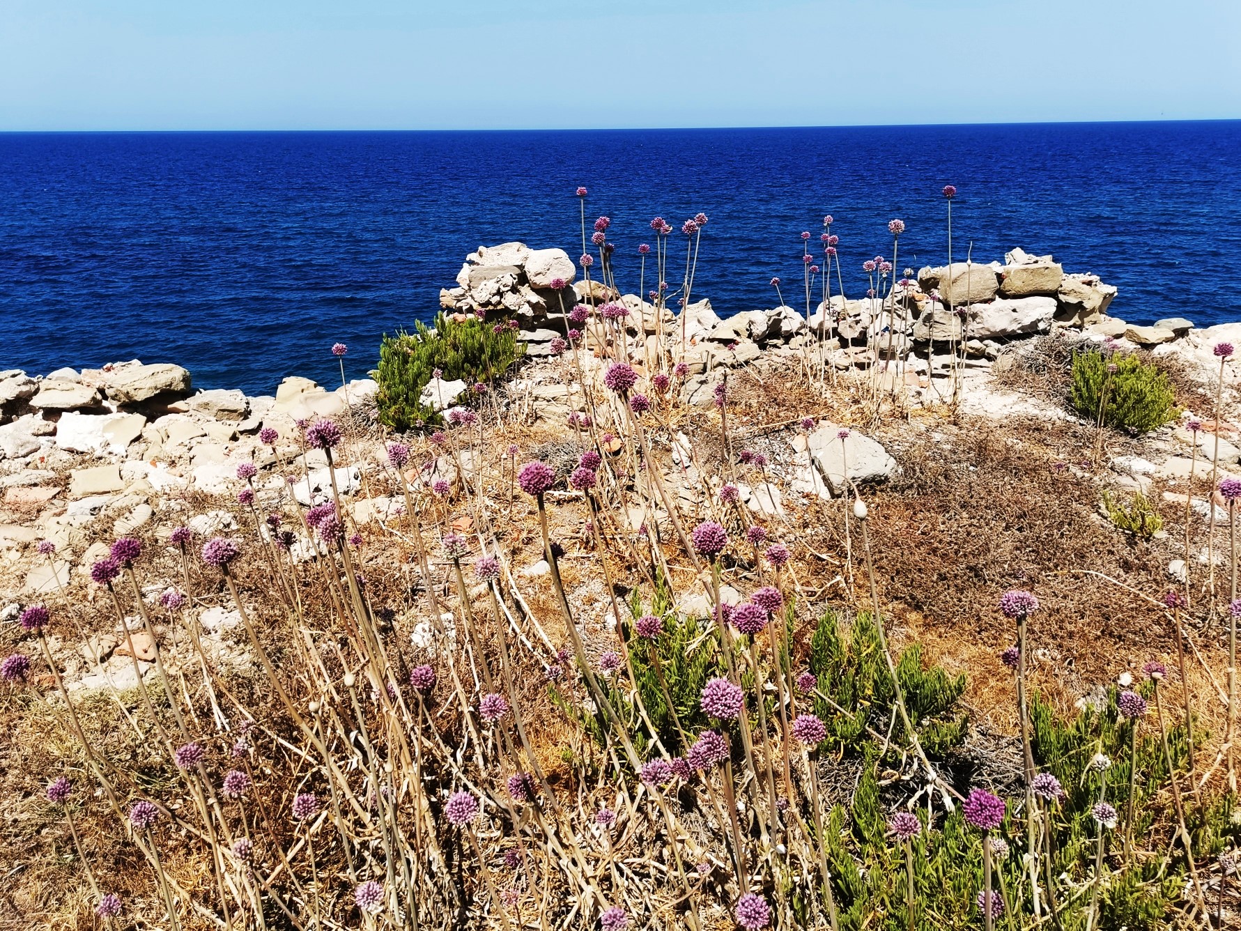 Blumen