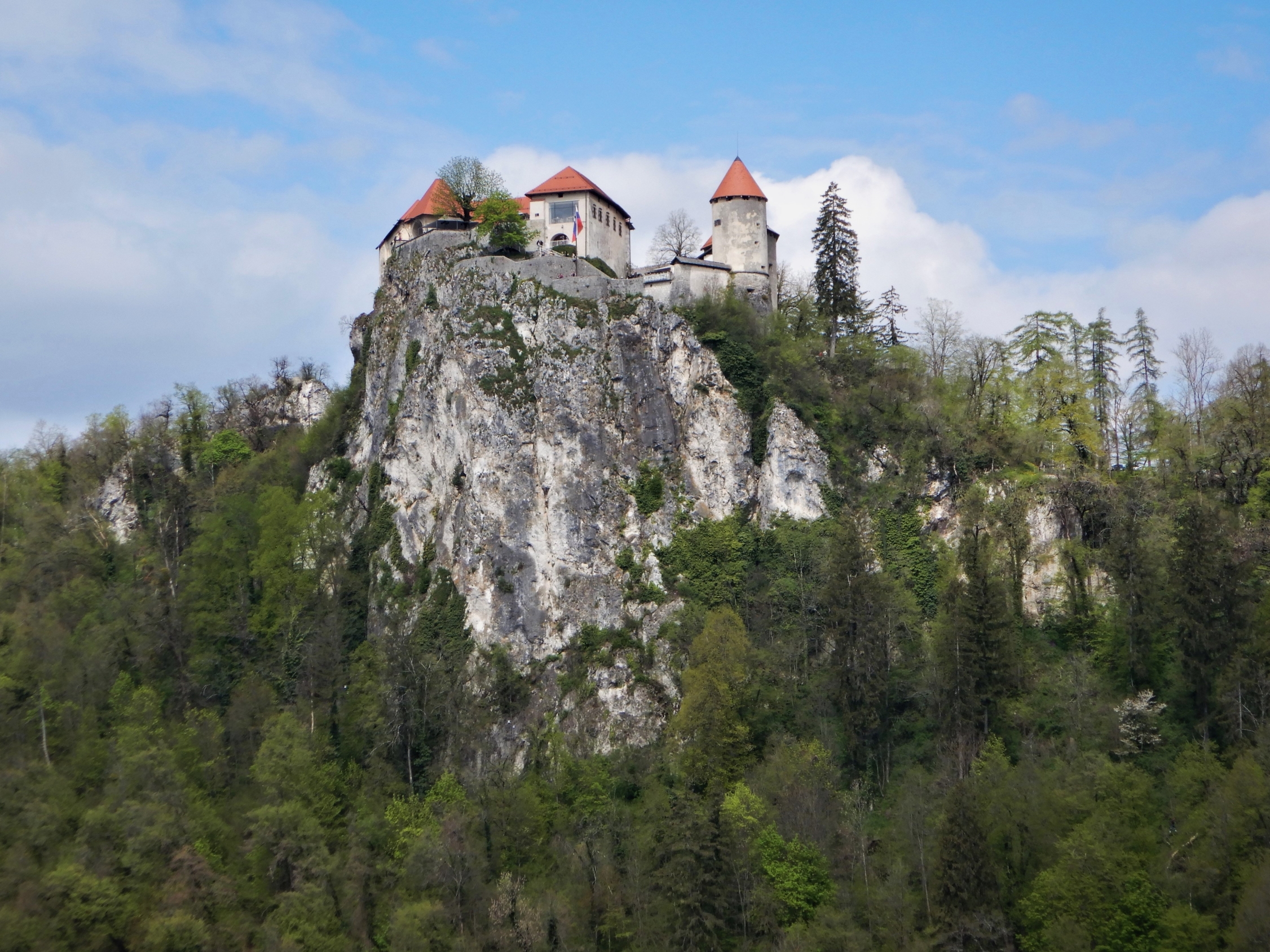 Burg