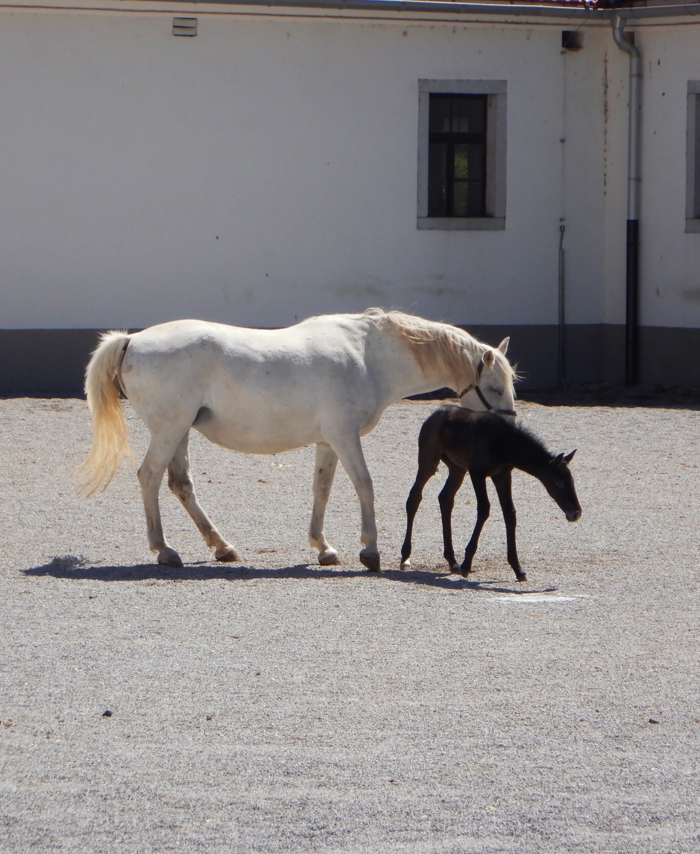 Mutter und Kind